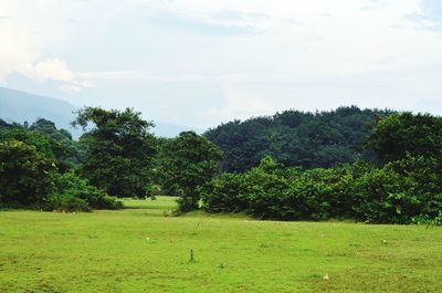 Scenic view of grassy field against cloudy sky