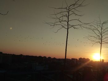 Silhouette trees against sky during sunset