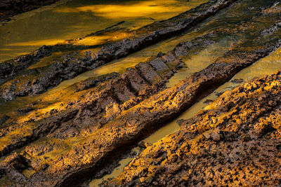 Traces of cars in the mud, close view