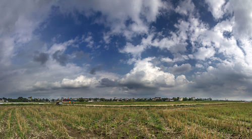 Scenic view of agricultural field against sky