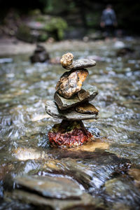 Close-up of turtle in lake