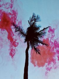 Low angle view of palm tree against blue sky