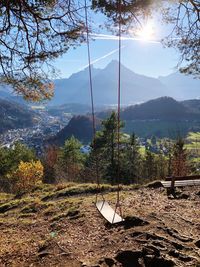 Trees on field against mountain range