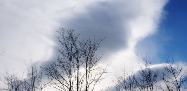 Low angle view of bare trees against sky