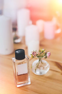 Close-up of potted plant on table