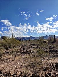 Scenic view of landscape against clear sky