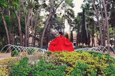 Rear view of person amidst trees in forest