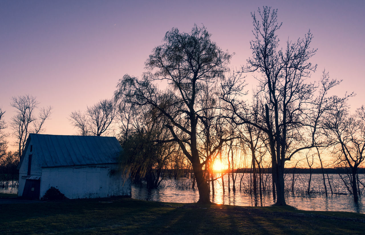 SILHOUETTE BARE TREES BY LAKE AGAINST SKY AT SUNSET