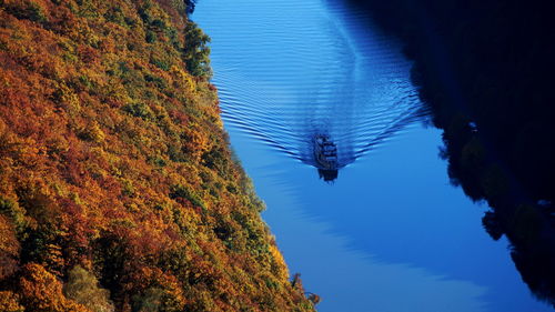 High angle view of trees by sea during autumn