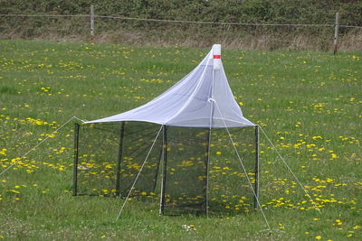 Tent on field against trees in forest