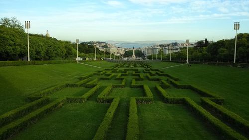 Scenic view of grassy land against sky