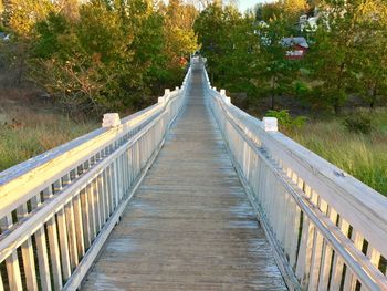 Footbridge amidst trees