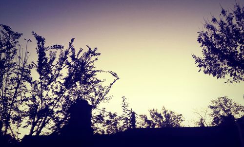 Low angle view of silhouette trees against sky at sunset