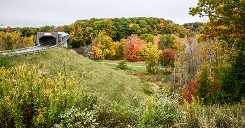 Scenic view of landscape against sky during autumn