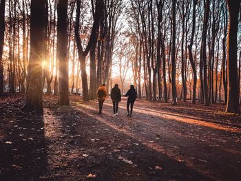 Rear view of people walking on street amidst trees in forest
