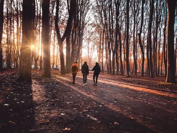 Rear view of people walking on street amidst trees in forest