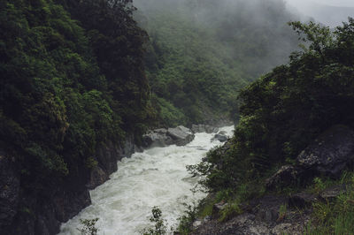 Scenic view of waterfall in forest