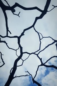 Low angle view of bare tree against clear sky