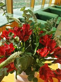 Close-up of red flowering plant