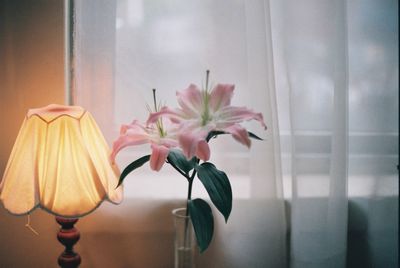 Close-up of flower vase against wall at home