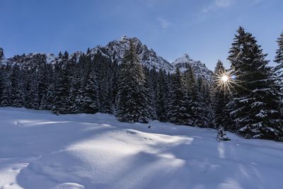 Snow covered field against sky during winter