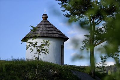 Low angle view of small tree on field against sky