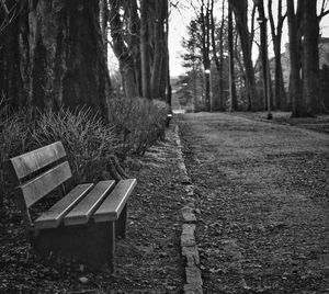 Empty bench in park