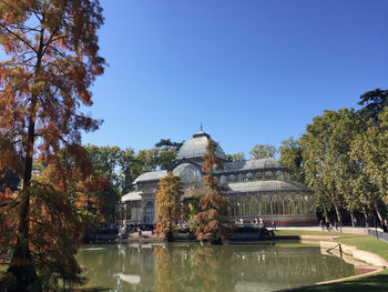 Trees and buildings against clear sky