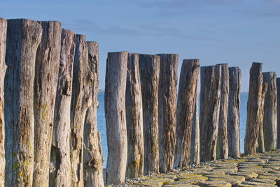 Panoramic view of wooden posts against sky