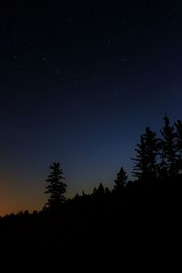 Low angle view of silhouette trees against sky at night