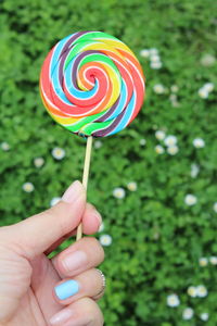 Close-up of hand holding multi colored candies