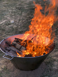 Bonfire on wooden log