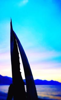 Close-up of person against sea at sunset