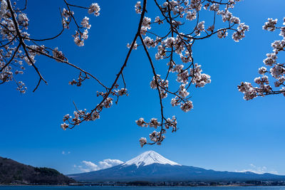 Scenic view of snow covered mountain against blue sky