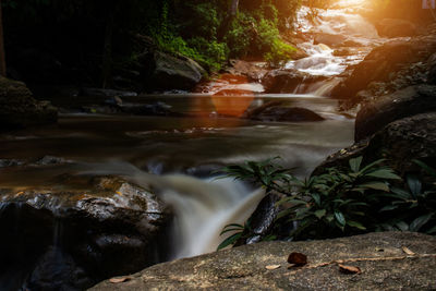 Scenic view of waterfall in forest