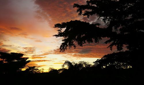 Silhouette trees against sky during sunset