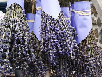 Close-up of flowers hanging in market