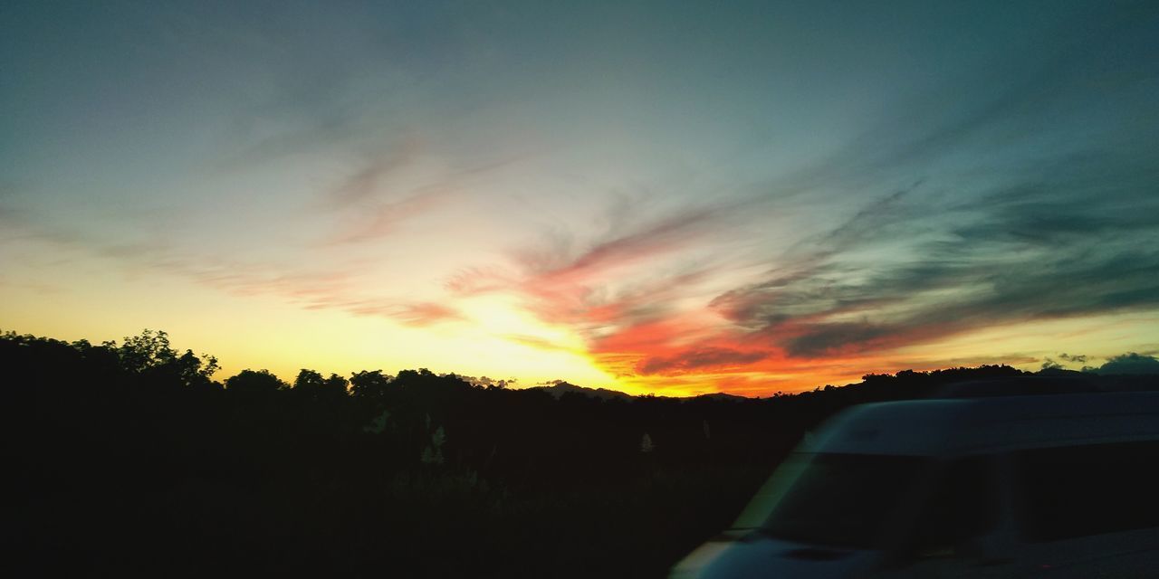 SILHOUETTE TREES ON LANDSCAPE AGAINST ORANGE SKY