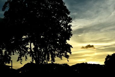 Low angle view of silhouette tree against sky