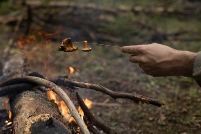 Close-up of hand holding burning leaf