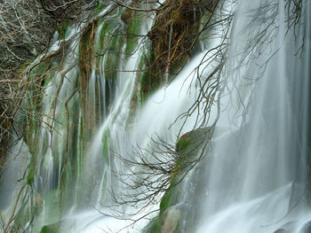 Scenic view of waterfall in forest