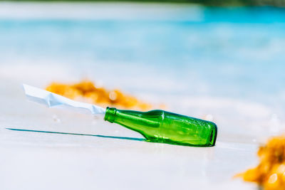 Close-up of green leaf on table