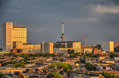 Rotterdam in the golden hour