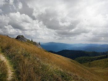 Scenic view of field against sky