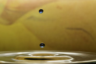 Close-up of water drop