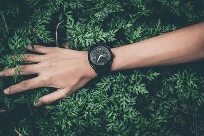 High angle view of human hand against plants
