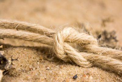 Close-up of rope on sand