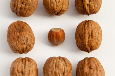 Close-up of food against white background