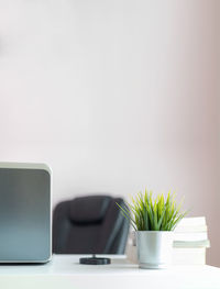 Close-up of potted plant on table against wall