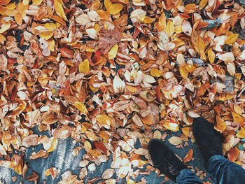 Low section of person on dry leaves during autumn